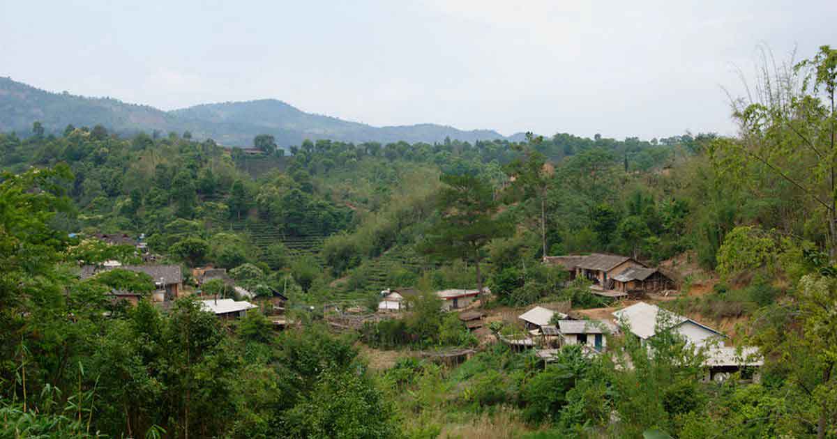 Чайная деревня в горах Наньнуо